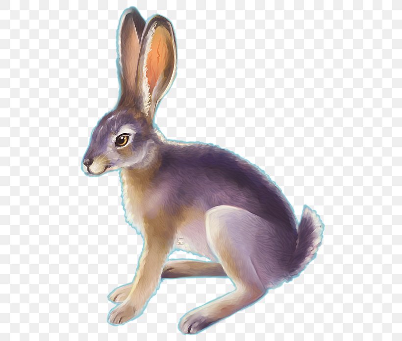 Domestic Rabbit Desert Cottontail Drawing Black-tailed Jackrabbit, PNG, 526x697px, Watercolor, Cartoon, Flower, Frame, Heart Download Free