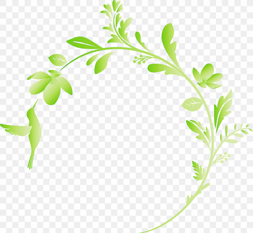 Flower Frame Floral Frame Decoration Frame, PNG, 3000x2769px, Flower Frame, Arugula, Decoration Frame, Floral Frame, Flower Download Free