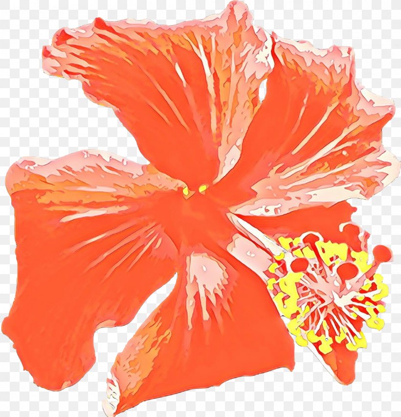 Flowers Background, PNG, 1153x1199px, Cartoon, Chinese Hibiscus, Cut Flowers, Flower, Hawaiian Hibiscus Download Free