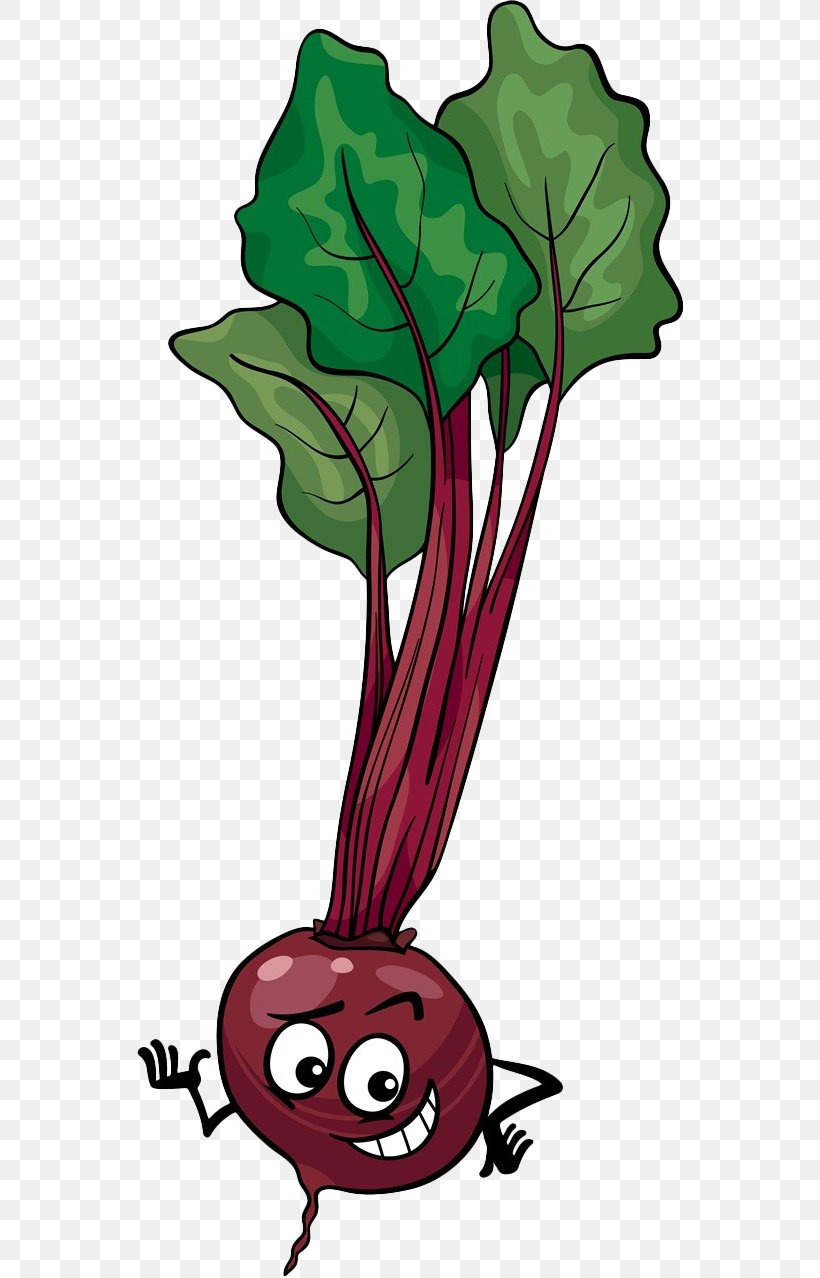 Beetroot Stock Illustration Cartoon Illustration, PNG, 546x1278px, Vegetable, Art, Asparagus, Broccoli, Cartoon Download Free