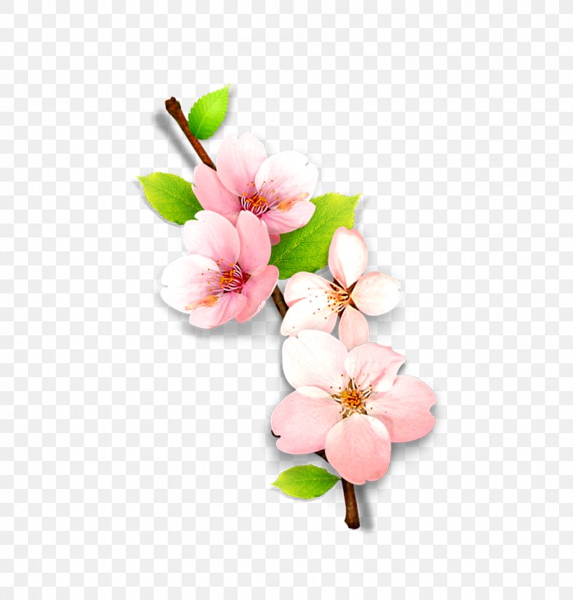 Computer File, PNG, 1042x1092px, Plum, Blossom, Branch, Cherry Blossom, Computer Graphics Download Free
