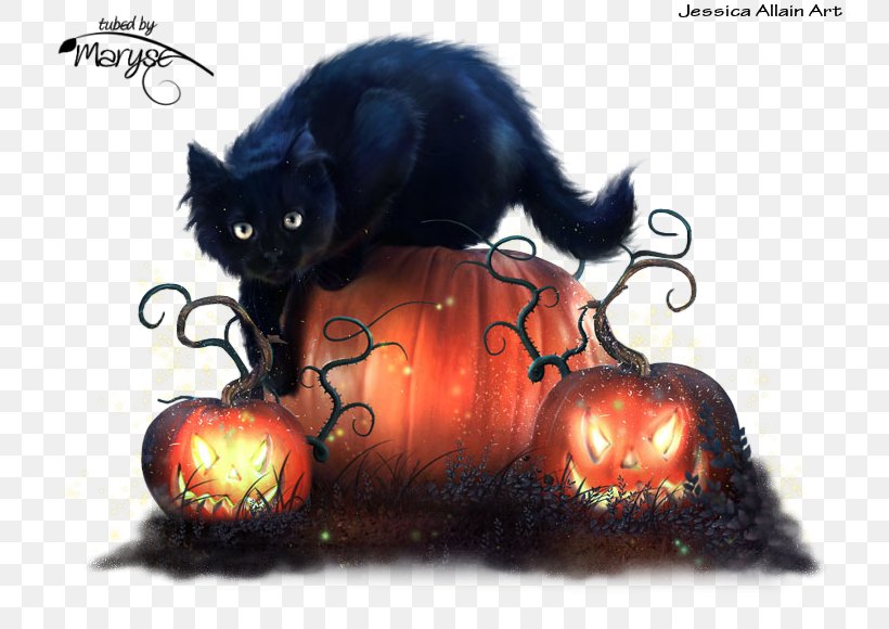 Halloween Kitten Cat Image Trick Or Treachery, PNG, 740x580px, 31 October, Halloween, Black Cat, Carnivoran, Cat Download Free
