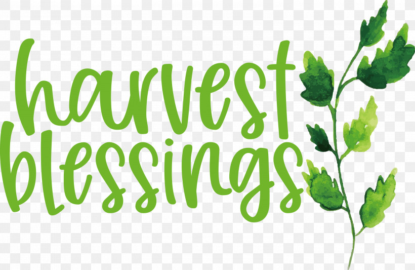 Harvest Autumn Thanksgiving, PNG, 3000x1952px, Harvest, Autumn, Green, Herb, Herbal Medicine Download Free