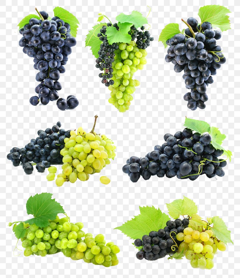 Kyoho Grape Seed Fruit Tree Jabuticaba, PNG, 800x951px, Kyoho, Bonsai, Common Grape Vine, Flowering Plant, Food Download Free