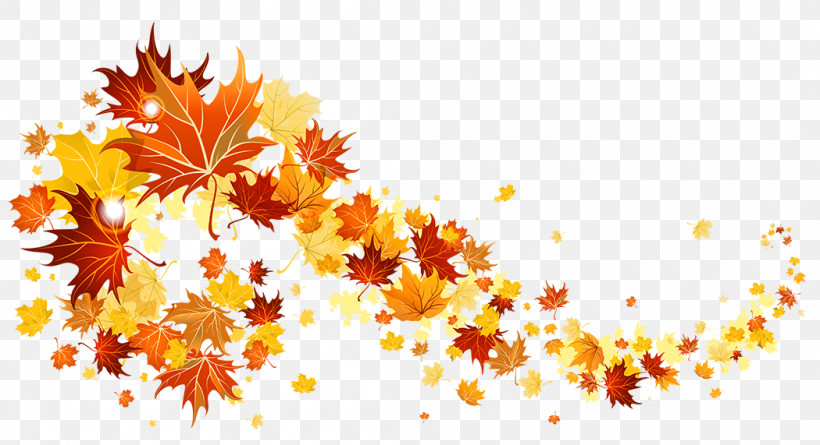 Maple Leaf, PNG, 1050x571px, Yellow, Autumn, Leaf, Maple, Maple Leaf Download Free