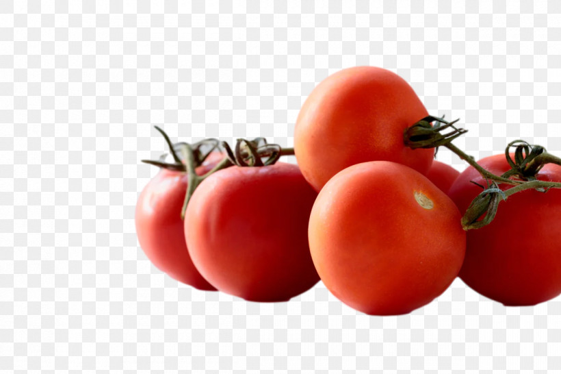 Tomato, PNG, 1200x800px, Bush Tomato, Canning, Compote, Cooking, Datterino Tomato Download Free