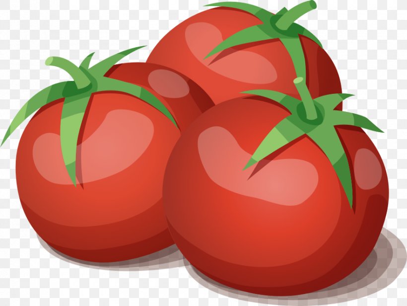 Tomato Juice Vegetarian Cuisine Vegetable, PNG, 880x662px, Tomato Juice, Apple, Cartoon, Cooking, Diet Food Download Free