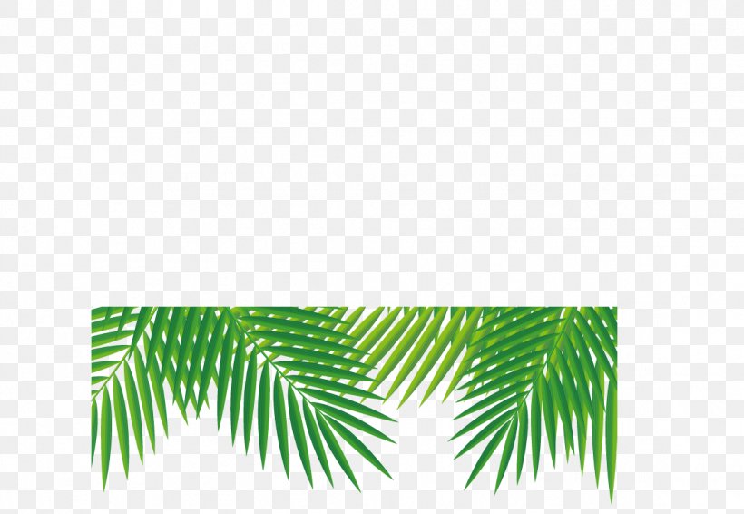 Tropics Adobe Illustrator, PNG, 1145x791px, Tropics, Beach, Conifer, Fir, Grass Download Free