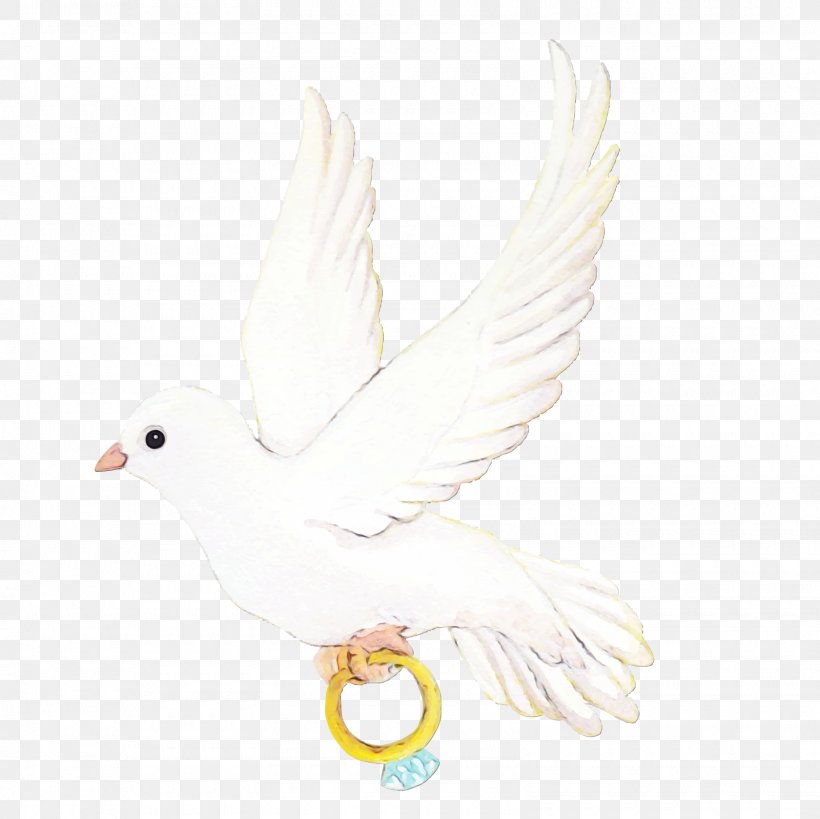 Wedding Invitation Background, PNG, 1600x1600px, Homing Pigeon, Animal Figure, Beak, Bird, Feather Download Free