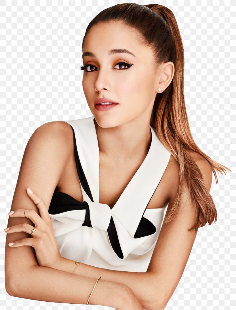 Ariana Grande United States Dangerous Woman Tour, PNG, 1250x1640px, Watercolor, Cartoon, Flower, Frame, Heart Download Free