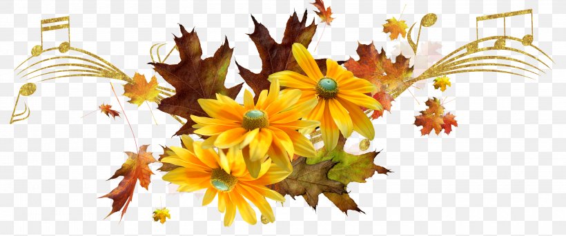 Chrysanthemum Yellow Painter, PNG, 3000x1253px, Chrysanthemum, Branch, Chrysanths, Cut Flowers, Daisy Family Download Free