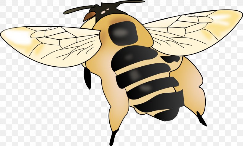 Honey Bee Hornet Maya The Bee Clip Art, PNG, 2396x1442px, Honey Bee, Arthropod, Bee, Bumblebee, Fly Download Free