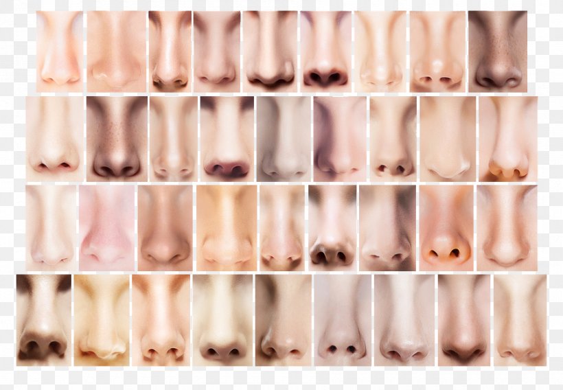 Human Nose Human Body Aquiline Nose Dilator, PNG, 900x624px, Watercolor, Cartoon, Flower, Frame, Heart Download Free