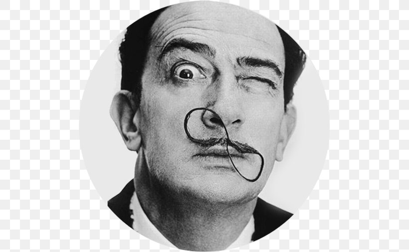 Salvador Dali: An Illustrated Life Dali's Mustache The Persistence Of Memory Moustache, PNG, 503x505px, Salvador Dali, Art, Artist, Beard, Black And White Download Free