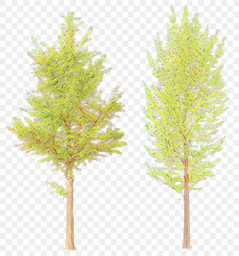 Tree White Pine Lodgepole Pine Red Pine Plant, PNG, 2652x2840px, Cartoon, American Larch, Aquarium Decor, Leaf, Lodgepole Pine Download Free