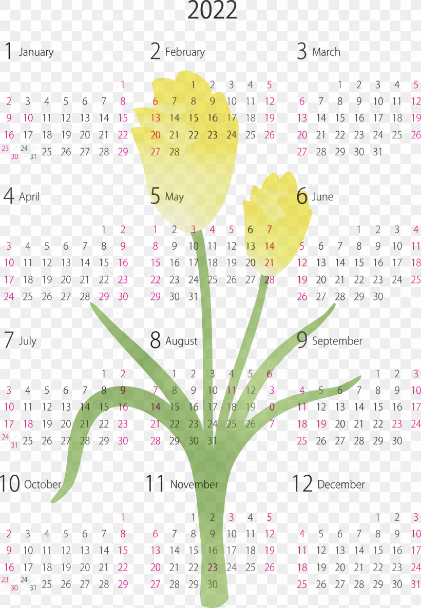 Flower Calendar System Meter Font Plant, PNG, 2073x3000px, Watercolor, Biology, Calendar System, Flower, Meter Download Free