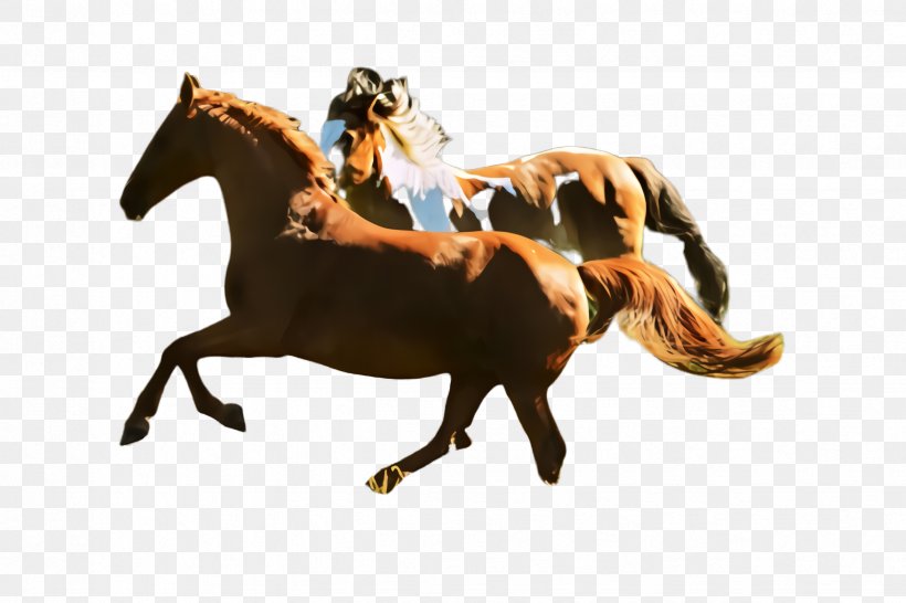 Horse Mustang Horse Stallion Animal Sports Animal Figure, PNG, 2448x1632px, Horse, Animal Figure, Animal Sports, Mane, Mare Download Free