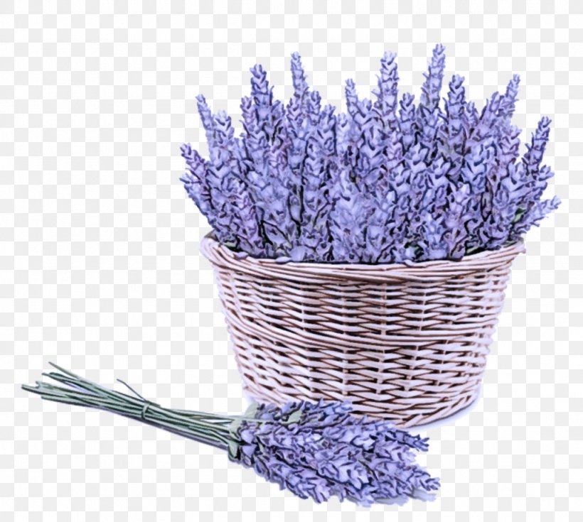 Lavender, PNG, 1024x918px, Lavender, Cut Flowers, English Lavender, Flower, Flowering Plant Download Free