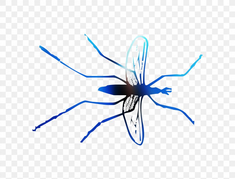 Mosquito Insect Line Membrane, PNG, 2100x1600px, Mosquito, Blue, Electric Blue, Insect, Invertebrate Download Free