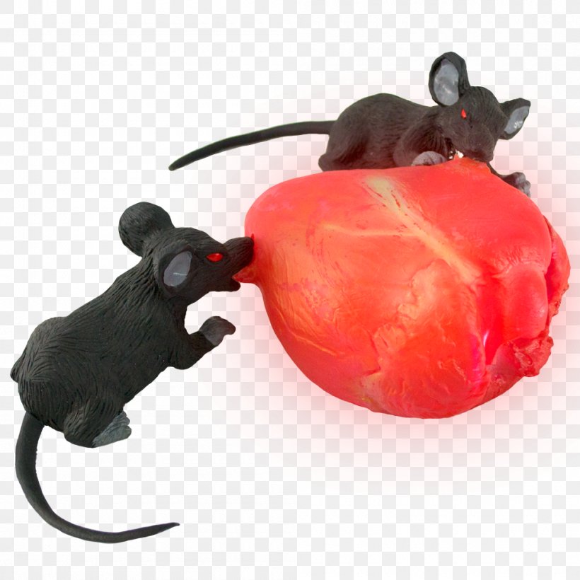 Mouse Pest Snout Animal, PNG, 1000x1000px, Mouse, Animal, Orange, Pest, Rat Download Free