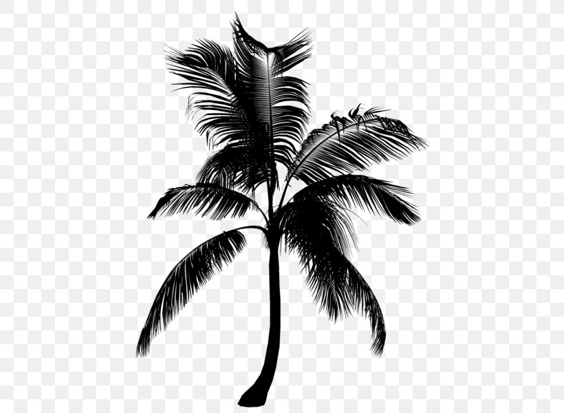 Palm Trees Black & White, PNG, 469x600px, Palm Trees, Arecales, Attalea Speciosa, Black White M, Blackandwhite Download Free