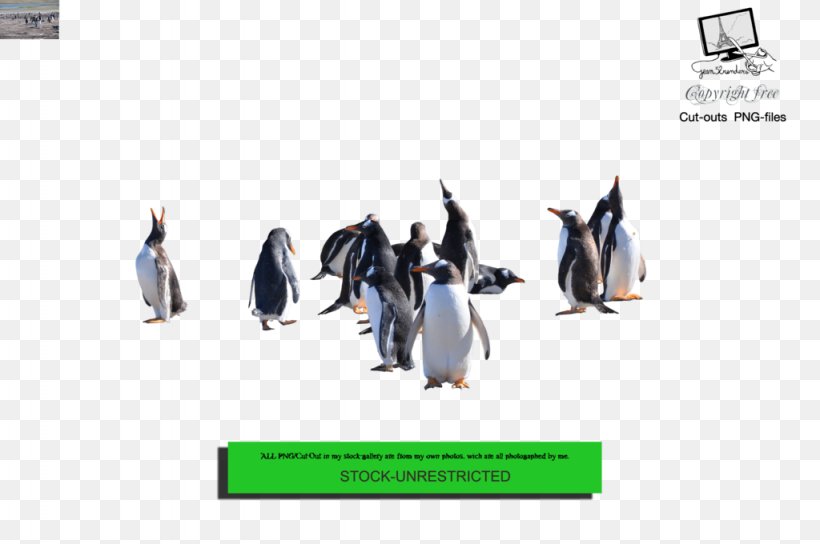 Penguin Download, PNG, 1024x680px, Penguin, Advertising, Art, Bird, Brand Download Free