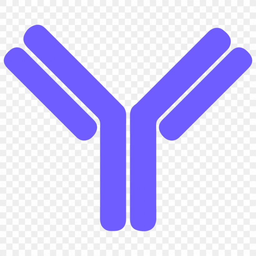 Antibody Letter B Cell Clip Art, PNG, 1000x1000px, Antibody, Alphabet, Antigen, B Cell, Blood Download Free