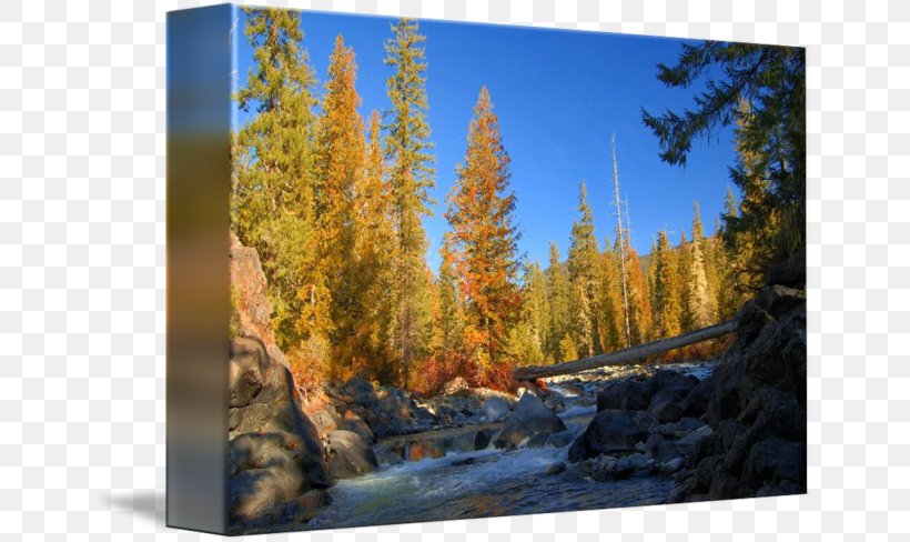 Cle Elum River Autumn In The Mountains Alpine Lakes Wilderness Cle Elum Lake, PNG, 650x488px, Larch, Autumn, Biome, Birch, Broadleaved Tree Download Free