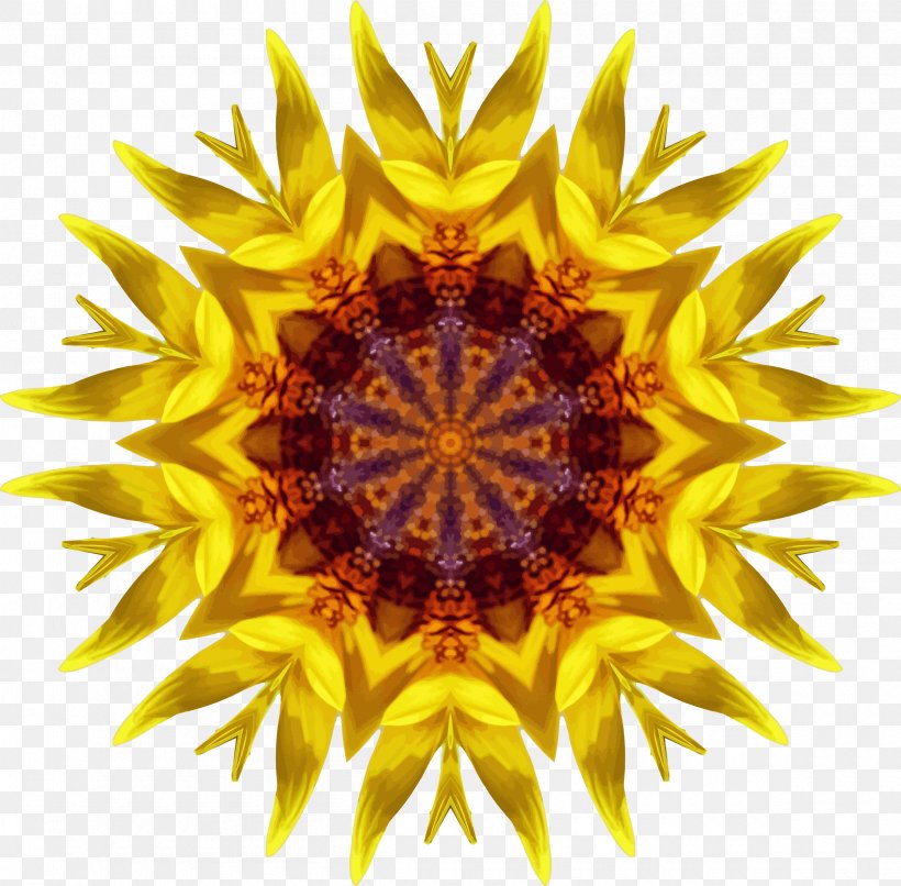 Common Sunflower Pollen Clip Art, PNG, 2400x2360px, Common Sunflower, Daisy Family, Drawing, Flower, Flowering Plant Download Free