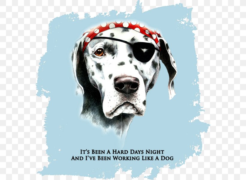 Dalmatian Dog T-shirt Dog Breed Non-sporting Group Clothing, PNG, 600x600px, Dalmatian Dog, Carnivoran, Clothing, Dalmatian, Dog Download Free