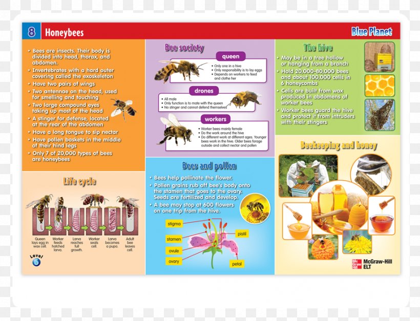 Graphic Design Page Layout Project Text, PNG, 918x702px, Page Layout, Advertising, Area, Art, Book Download Free