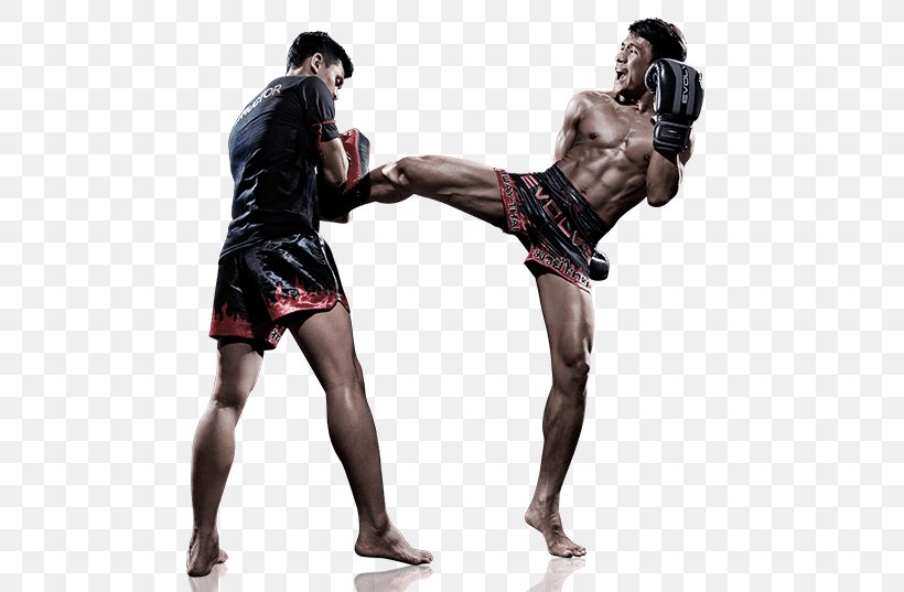 Kickboxing Muay Thai Combat Sport, PNG, 534x537px, Kickboxing, Aggression, Athlete, Boxing, Boxing Equipment Download Free