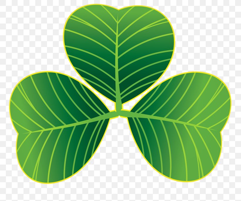 Saint Patrick's Day St. Patrick's Day Shamrocks Clip Art Vector Graphics Image, PNG, 800x684px, Art, Green, Holiday, Leaf, Plant Download Free