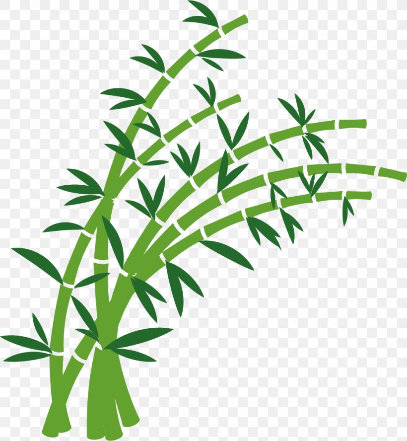 Bamboo Euclidean Vector, PNG, 996x1079px, Bamboo, Art, Grass, Grass Family, Leaf Download Free
