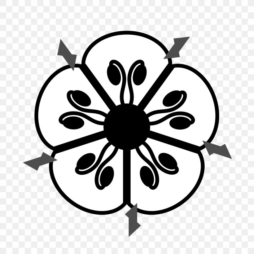 Floral Diagram Flower Sepal, PNG, 1024x1024px, Floral Diagram, Anagallis Arvensis, Artwork, Black And White, Diagram Download Free