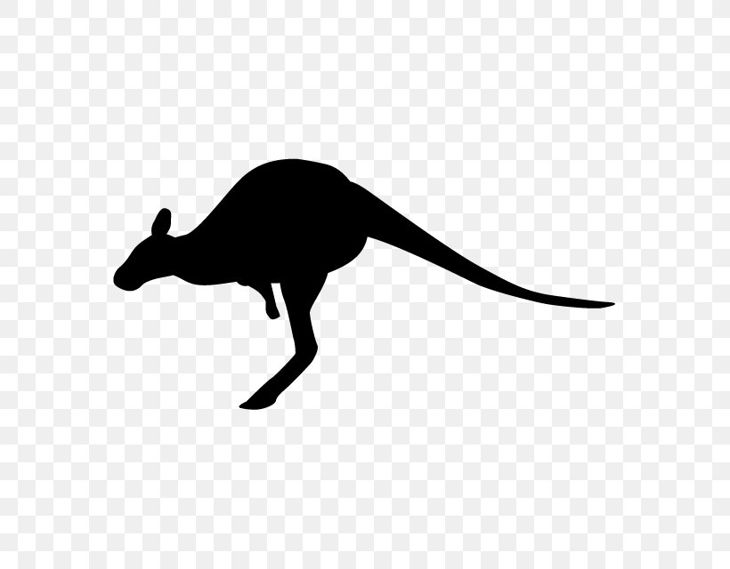 Macropodidae Silhouette Marsupial Clip Art, PNG, 640x640px, Macropodidae, Animal, Art Museum, Black And White, Dinosaur Download Free