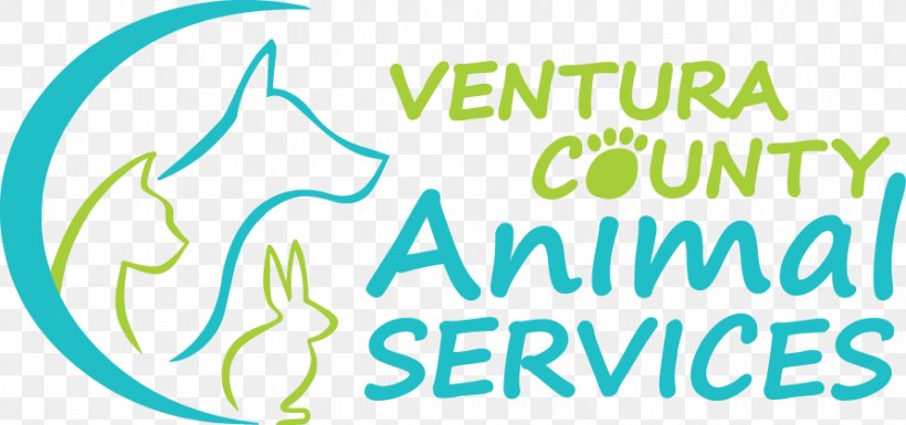 Ventura County Animal Services Animal Shelter Dog Volunteering, PNG, 893x420px, Animal Shelter, Animal, Area, Blue, Brand Download Free