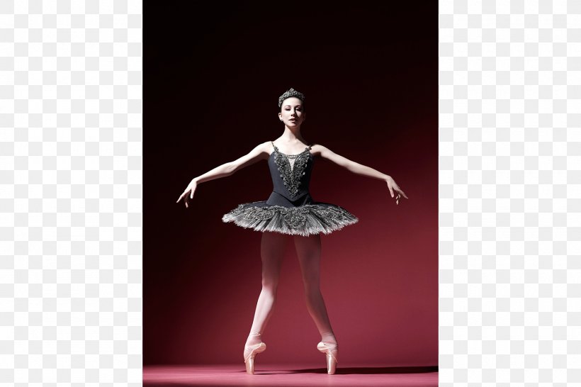 American Ballet Theatre School Tutu Ballet Dancer, PNG, 1500x1000px, Watercolor, Cartoon, Flower, Frame, Heart Download Free