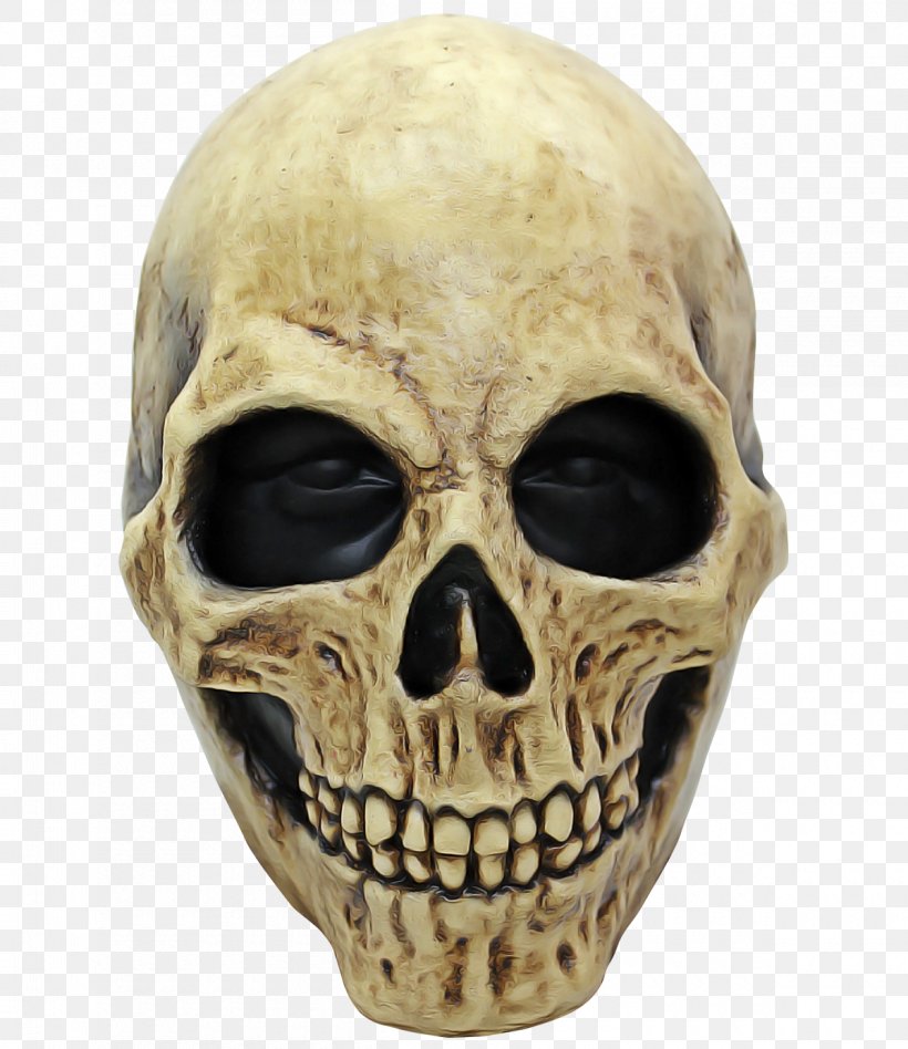 Skull Bone Face Head Skeleton, PNG, 1200x1388px, Skull, Anthropology, Bone, Face, Forehead Download Free