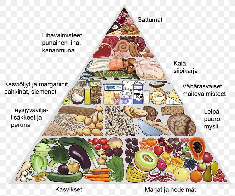 Food Group Theseus PDF, PNG, 800x685px, Food Group, Finns, Food, Health, Human Download Free