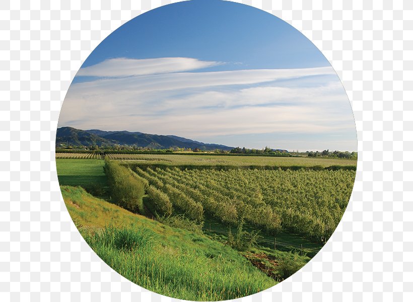 Horticulture Innovation Crop Grassland, PNG, 600x600px, Horticulture, Agriculture, Crop, Energy, Farm Download Free