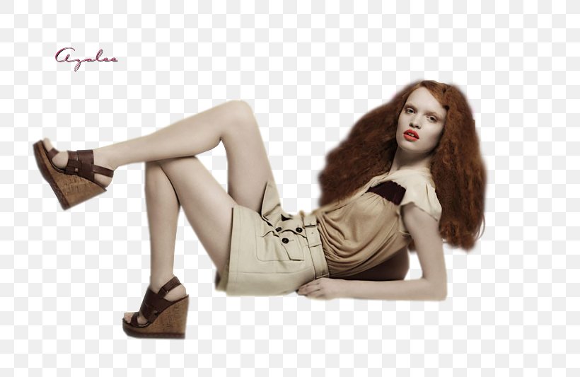 Shoe Fashion Model, PNG, 800x533px, Shoe, Brown Hair, Fashion Model, Joint, Long Hair Download Free