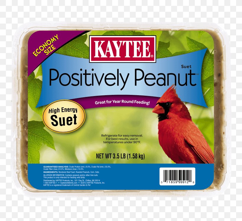 Bird Food Kaytee 3.5-Pound Suet And Seed Large Bird Feeders Amazon.com, PNG, 750x750px, Bird, Amazoncom, Beak, Bird Feeders, Bird Food Download Free