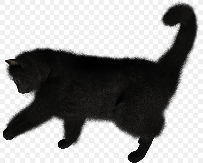 Cat Kitten Clip Art, PNG, 800x661px, Cat, Black, Black And White, Black Cat, Bombay Download Free