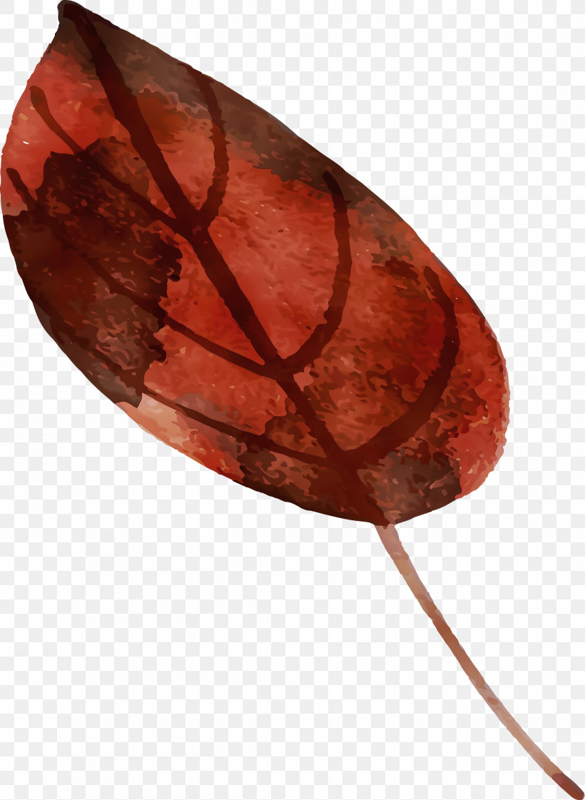 Leaf Science Plant Structure Plants Biology, PNG, 2193x3000px, Watercolor Autumn, Biology, Leaf, Paint, Plant Structure Download Free