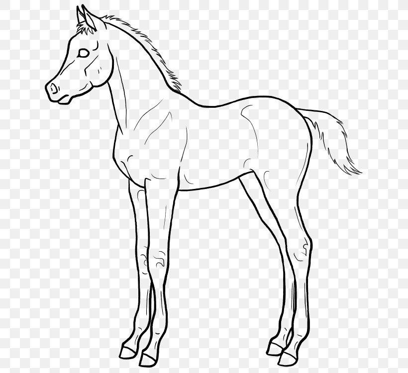 Mule Arabian Horse Line Art Foal Drawing, PNG, 701x750px, Mule, Animal Figure, Arabian Horse, Artwork, Black And White Download Free