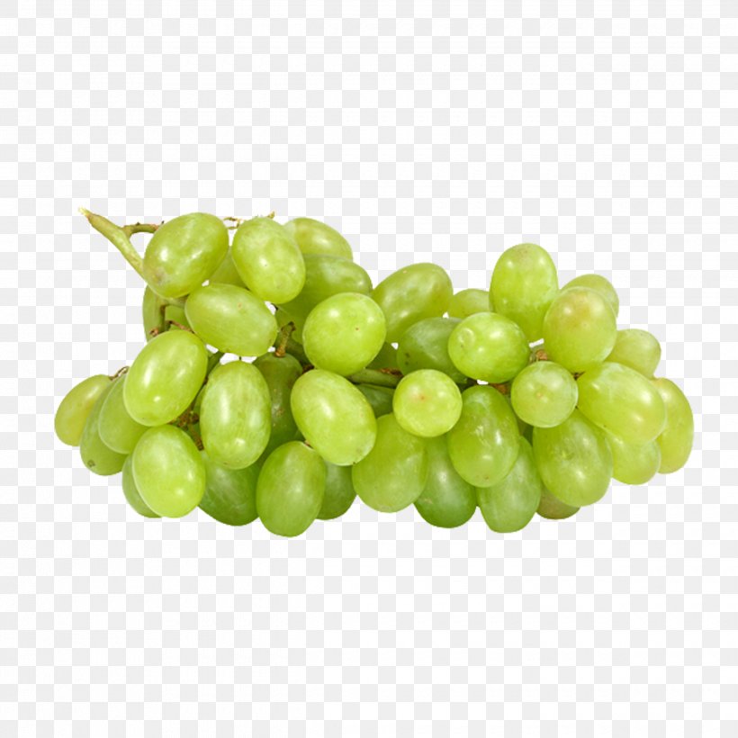 Nutrient Grape Vitamin Carbohydrate, PNG, 2480x2480px, Nutrient, Auglis, Carbohydrate, Food, Fruit Download Free