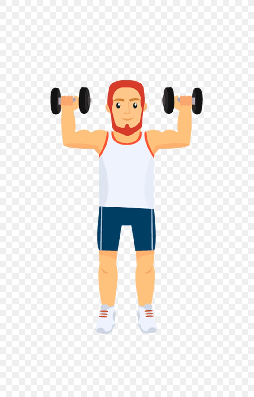 Physical Fitness Weight Training Fitness Centre Exercise Clip Art, PNG, 533x1280px, Physical Fitness, Arm, Athlete, Ball, Baseball Equipment Download Free