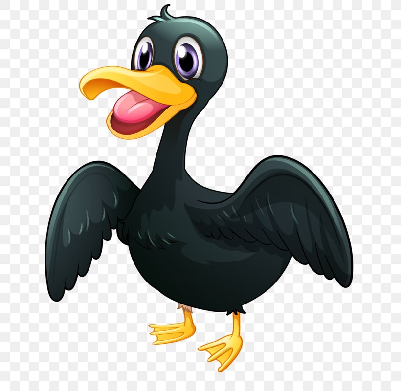 American Pekin Duck Bird Platypus, PNG, 700x800px, American Pekin, American Black Duck, Animal, Beak, Bird Download Free