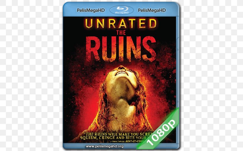 Blu-ray Disc Ruinen United States Paramount Pictures Import, PNG, 512x512px, Bluray Disc, Album, Album Cover, Disk Storage, Film Download Free